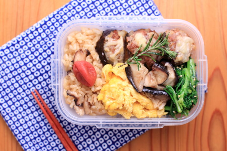 茄子のファルシと春菊の中華風ごま和えのお弁当